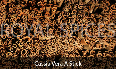 Cassia Vera A Stick